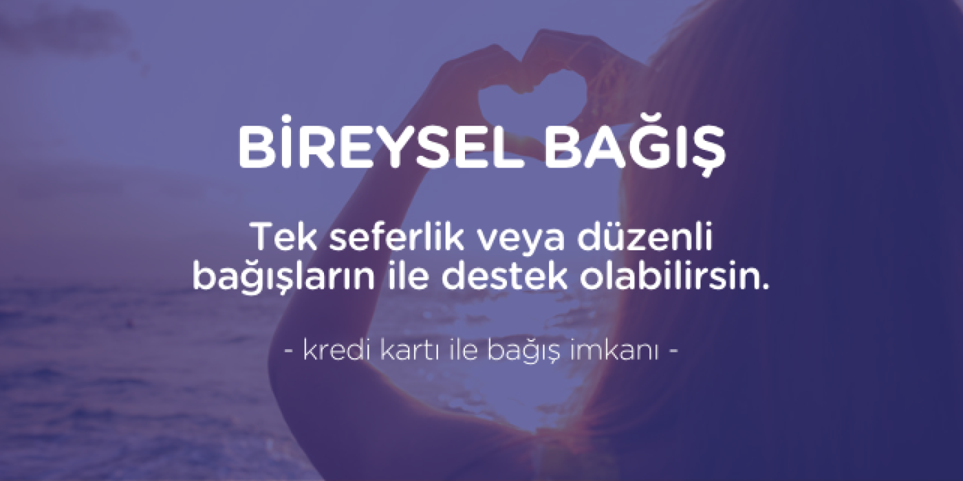 bireyselbagis-i6832a541abefc.png