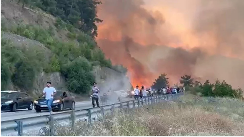 Türkiye’nin dört bir yanında çıkan orman yangınlarıyla mücadele sürüyor. Karabük’te