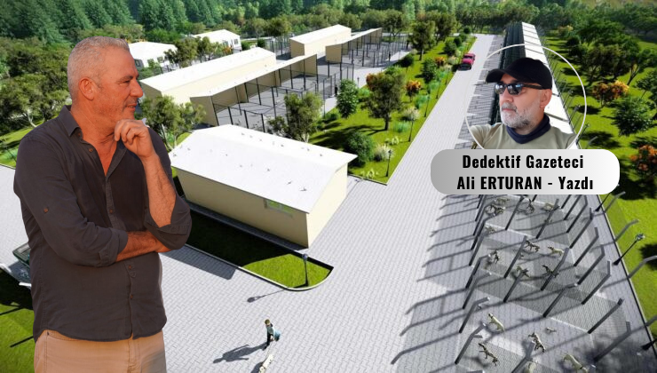 Ortaca’da uzun süredir Dalaman Hayvan Barınağı’nda geçici olarak misafir edilen