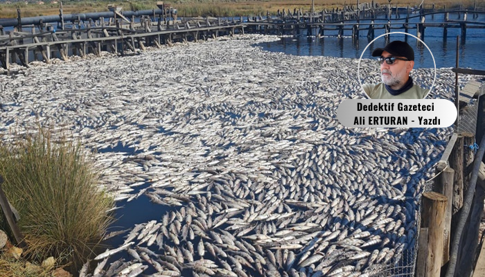 Muğla’nın Köyceğiz ilçesinde faaliyet gösteren Dalyan Su Ürünleri Kooperatifi’nde (DALKO)