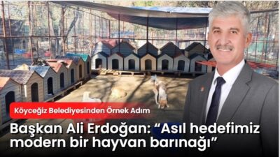 Köyceğiz Belediyesi, sokakta yaşayan can dostların yaşam şartlarını iyileştirmek için