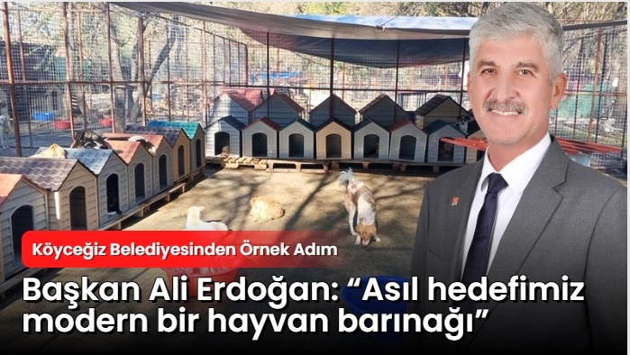 Köyceğiz Belediyesi, sokakta yaşayan can dostların yaşam şartlarını iyileştirmek için