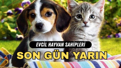 Muğla İl Tarım ve Orman Müdürlüğü, kedi ve köpeklerin kayıt
