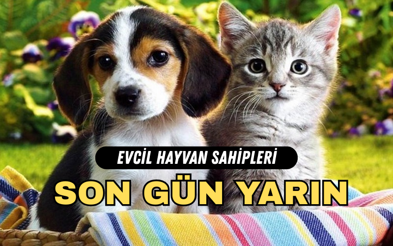 Muğla İl Tarım ve Orman Müdürlüğü, kedi ve köpeklerin kayıt