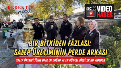 Geçtiğimiz cumartesi günü, 27 Aralık 2025 tarihinde Dalyan’da kurulan Noel