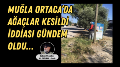 Muğla’nın Ortaca ilçesine bağlı Okçular Mahallesi’nde muhtarlık binasının önünde bulunan