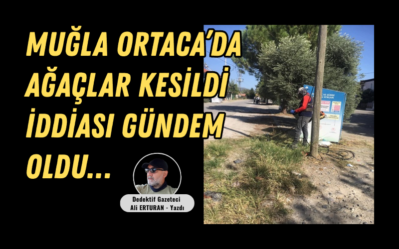 Muğla’nın Ortaca ilçesine bağlı Okçular Mahallesi’nde muhtarlık binasının önünde bulunan