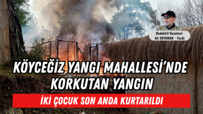 Muğla’nın Köyceğiz ilçesine bağlı Yangı Mahallesi’nde çıkan yangın, kısa süreli