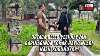 Muğla’nın Ortaca ilçesinde uzun yıllardır belediye veterineri olarak görev yapan