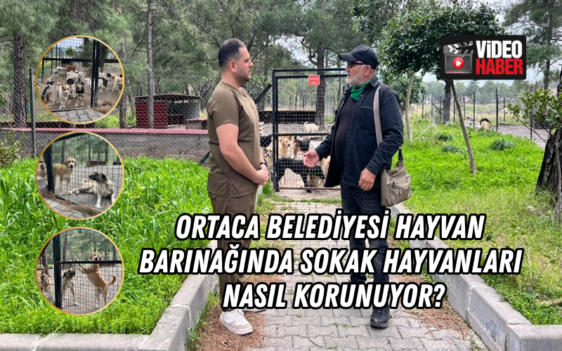 Muğla’nın Ortaca ilçesinde uzun yıllardır belediye veterineri olarak görev yapan