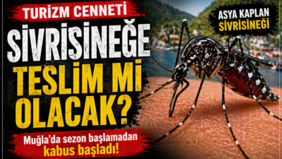 Muğla’da yaz sezonu daha başlamadan sivrisinek sorunu yeniden gündeme oturdu.