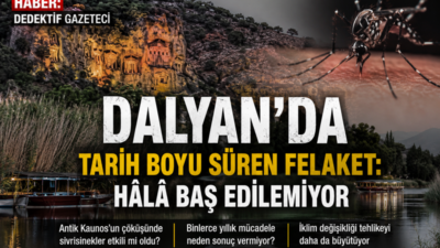 Gece çöktüğünde Dalyan deltası dışarıdan bakıldığında sakin ve sessiz bir