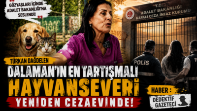 Muğla’nın Dalaman ilçesinde faaliyet gösteren barınakta kaydedilen görüntüler, kamuoyunda yıllardır