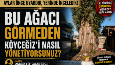 Muğla’nın Köyceğiz ilçesinde, Sanat Sokağı’nda bulunan ve Atatürk dönemine uzandığı