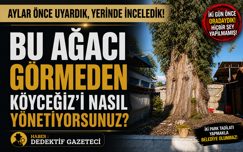 Muğla’nın Köyceğiz ilçesinde, Sanat Sokağı’nda bulunan ve Atatürk dönemine uzandığı