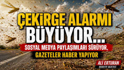 Son günlerde sosyal medya platformlarında paylaşılan çekirge görüntüleri ve internet