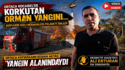 Muğla’nın Ortaca ilçesi Kocabel mevkisinde henüz belirlenemeyen nedenle çıkan orman