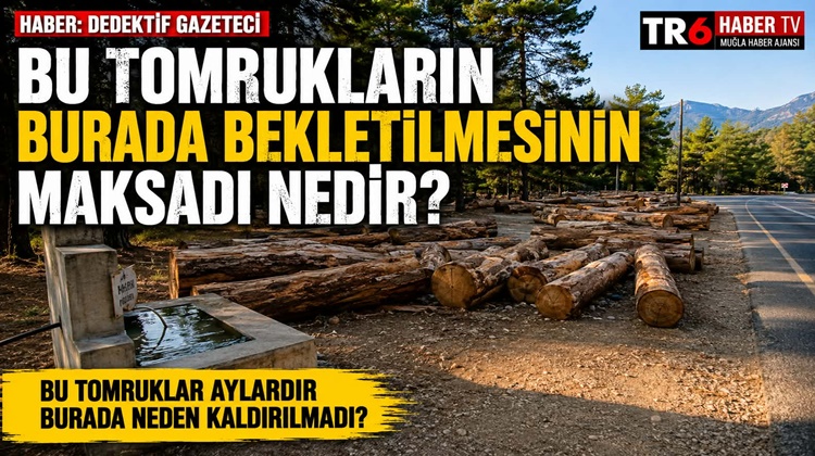 Dalyan’ın dünyaca ünlü İztuzu yolu üzerinde aylarca bekletilen tomruklar, turizm